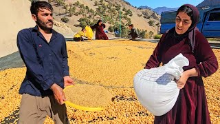A New Beginning in the Village 🌿 | Salahadin’s Family Returns to Daily Nomadic Life