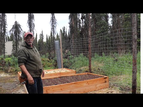 Fencing in the Alaska garden