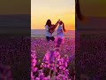 Calm guitar melody 🎸