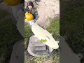 電気なしの冷蔵庫