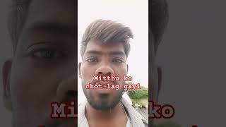 mithu treval vlogs||mini vlogs daily life videos||#mithu #funny  #birds