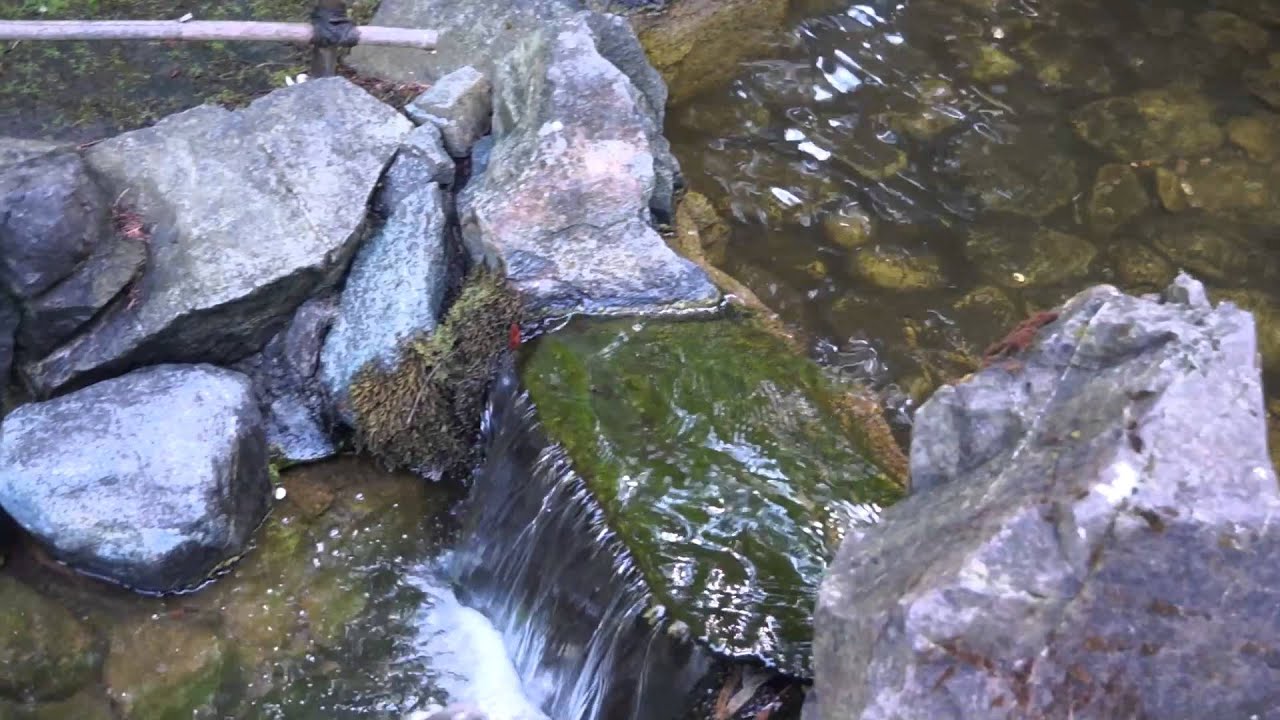 Star Princess Experience: The Butchart Gardens Fit for Royalty ~ Princess Cruises ~ Cruise Review