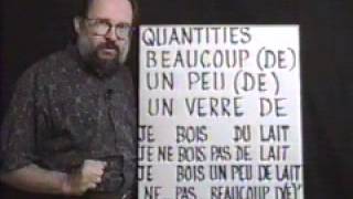 Full French Lesson 8: Partitive Articles, Quantities and Negations Guide