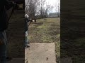 Bear Kodiak magnum 52” 45 # /instinctive shooting