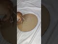 Part 1 Mosaic art | art and craft | #shorts #youtubeshorts #trending #music #song #love #viral