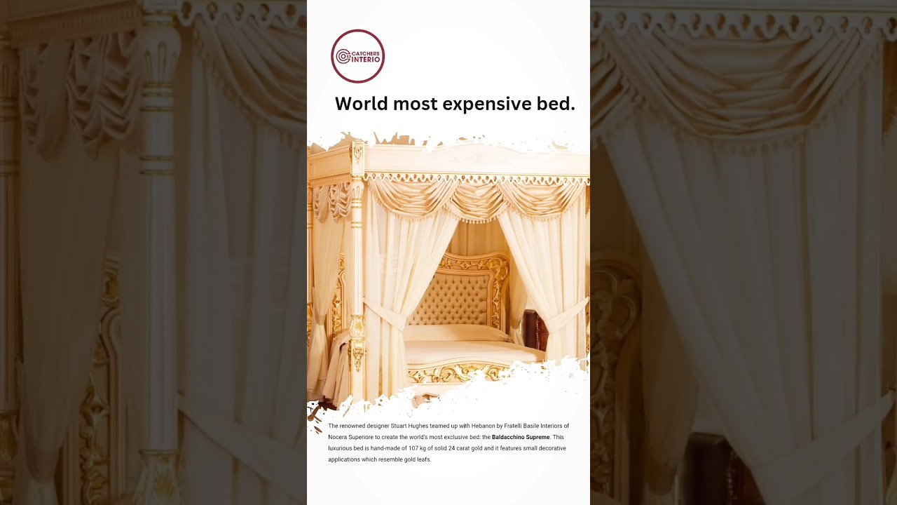 world's most expensive bed 🛏️🧐🧐🧐.