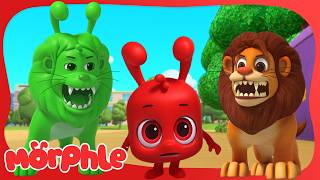 lion escaped can mila morphle catch it cartoons kids mila