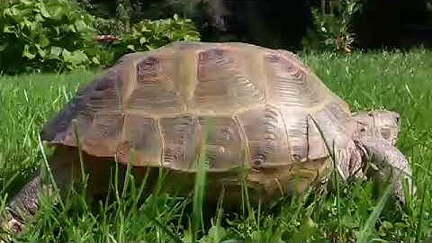 Everybody Up 1 Video Unit 5