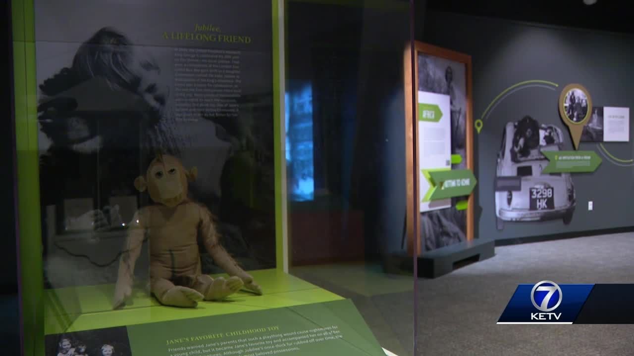 Durham Museum introduces new exhibit that allows guests to explore work with chimpanzees