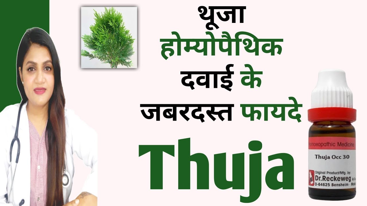 thuja-homeopathic-medicine-uses-in-hindi-thuja-200-uses-in-hindi