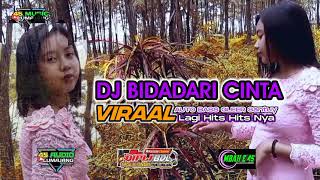 DJ BIDADARI CINTA VIRAL || BASS GLERR 2021 AUTO PALING HITS || QIPLI BDL feat 45 MUSIC LUMAJANG
