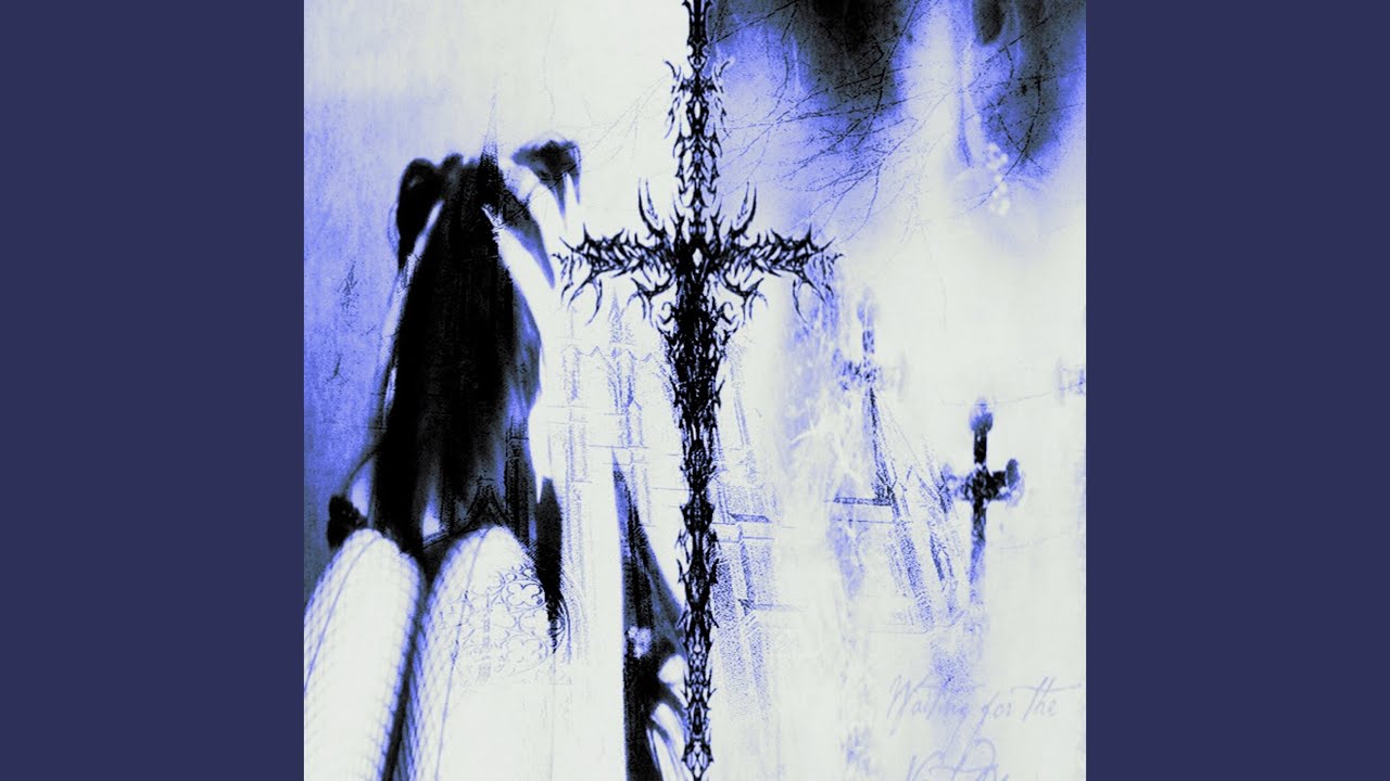 can't take it anymore