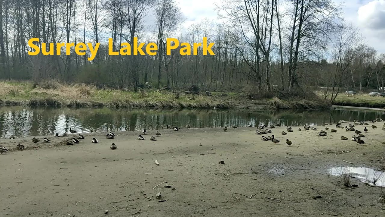 Walk Canada, Surrey Lake Park Tour, Surrey BC