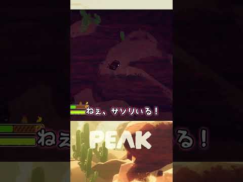【危険】ダイナマイトとサソリ  #PEAK #shorts