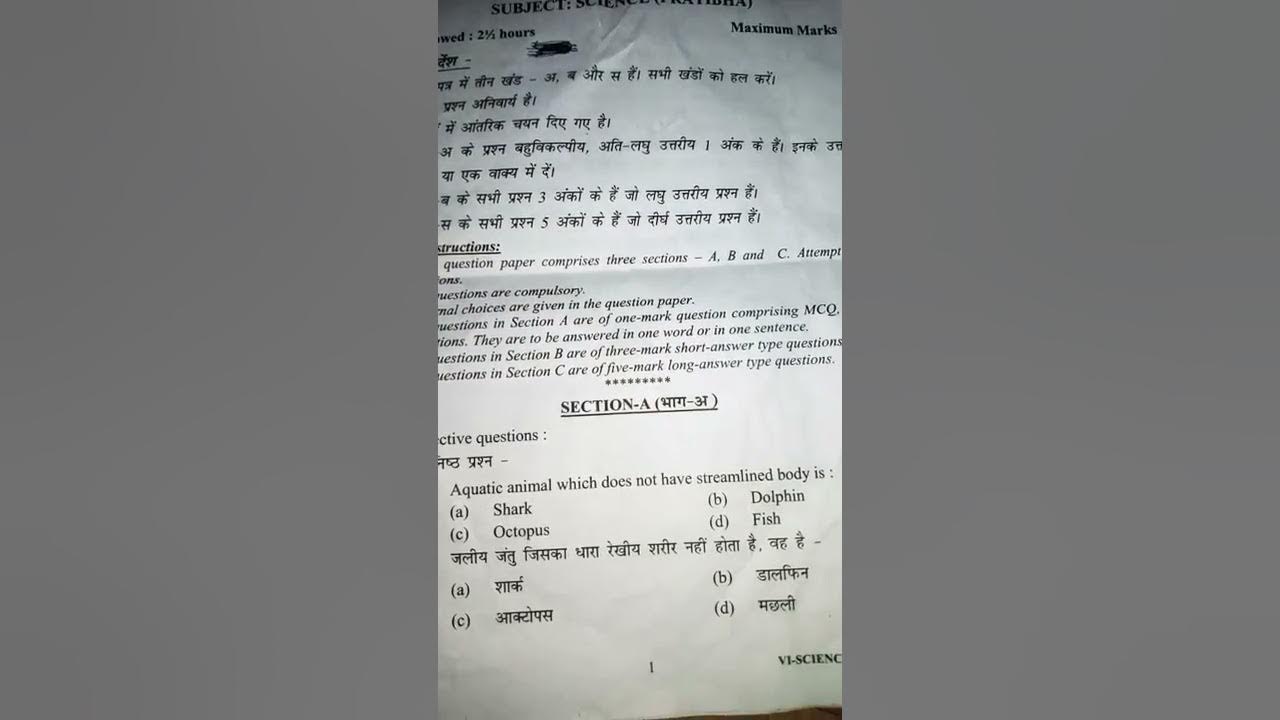 Class 6 science questions paper partibha section YouTube