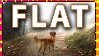 FLAT - my first short film