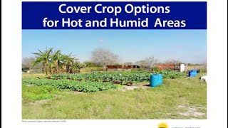 Cover Crop Options for Hot and Humid Areas screenshot 3