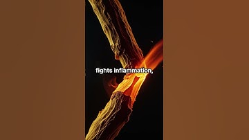 "Turmeric + Ginger: The Morning Drink Your Body Will Thank You For 🌅💛"