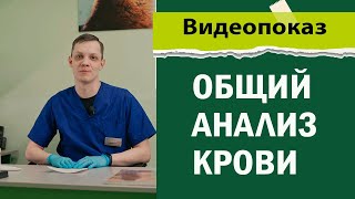 Общий анализ крови