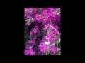 يوميات الحياة Hayet Est En Direct سلام عليكم 
