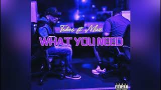 Tokes-What You Need ft MAZ (visualizer)