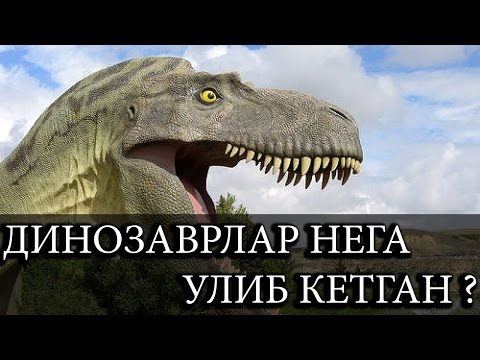 Video: Динозаврлар кандай болгон?