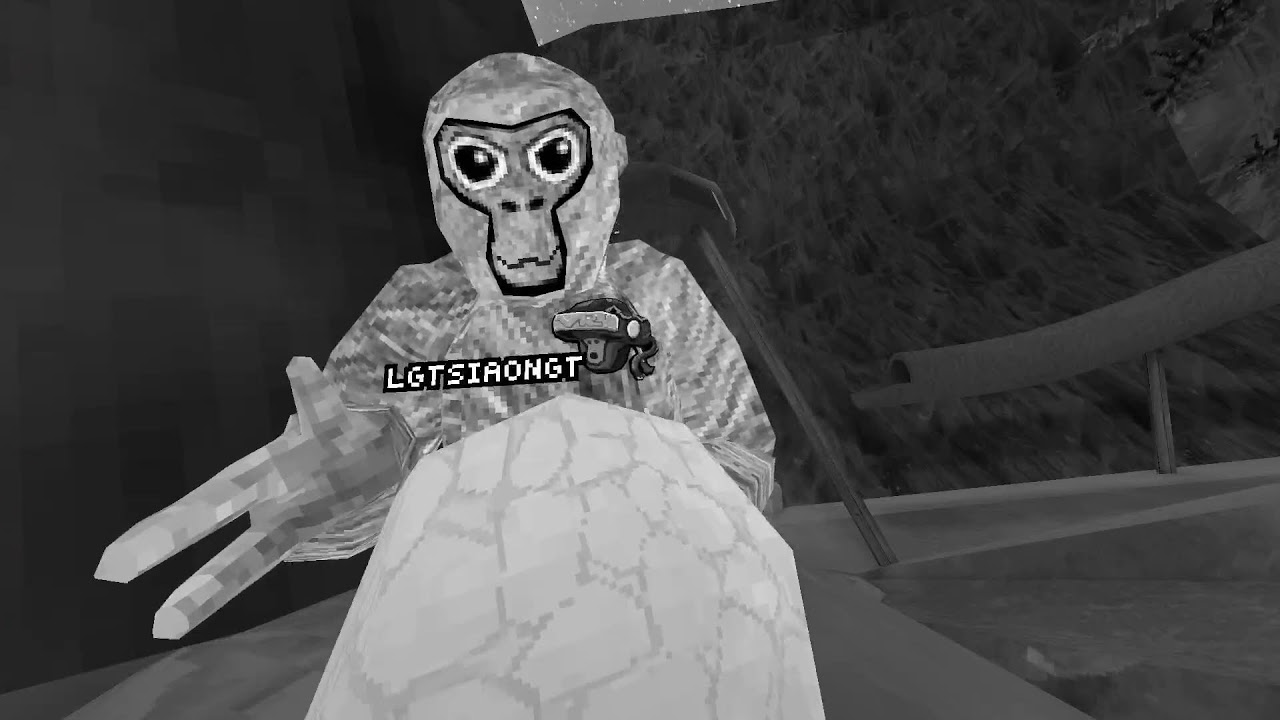 Meta Quest Broadcast | Powered by LIV