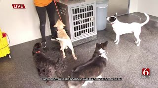 Watch: New Dog Daycare, Boarding & Spa Opens In Tulsa