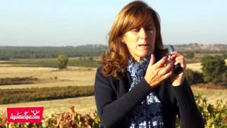 La vendimia - Bodegas Valduero - Sigue tu cepa