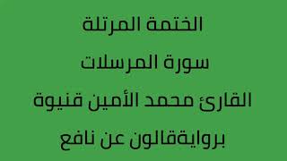 سورة المرسلات القارئ محمد الأمين قنيوة برواية قالون عن نافع