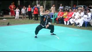 PERFORMANCE KUNGFU IKS.PI KERA SAKTI (SASANA SHEN HOU ) SAAT JAMBORE AKTI DI CIBUBUR MEI 2017