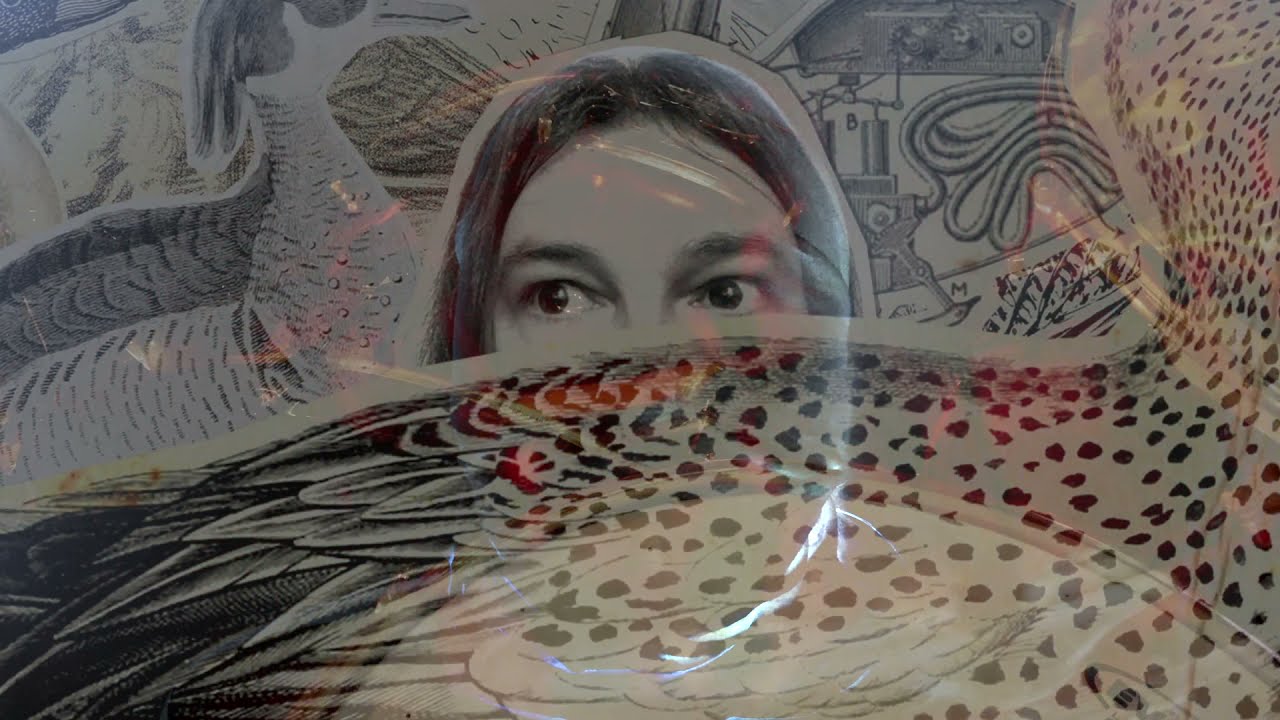 The Jimmy C - Paranoia Grande