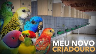 Meu novo Criadouro de Aves Exóticas | #PRÓ