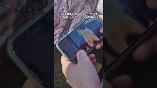 New E-Friend For Lilo