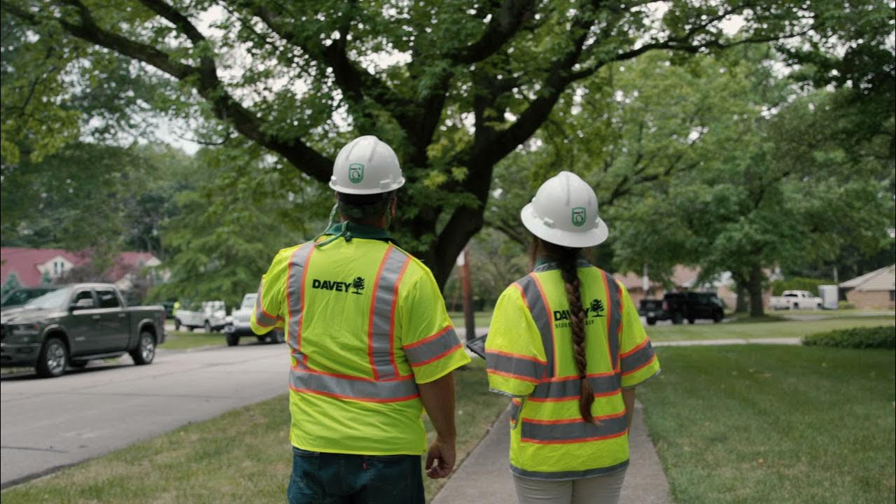 Davey Tree Utility Services YouTube