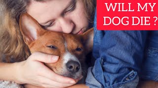 How Do You Know If A DOG Will Die ?