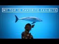 My Top 10 Favorite Zoo Exhibits