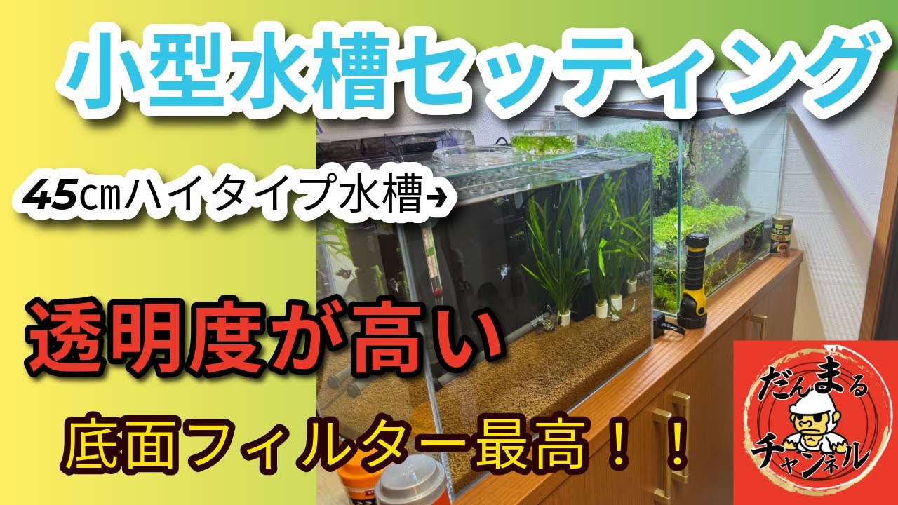 熱帯魚の小型水槽セッティングします。