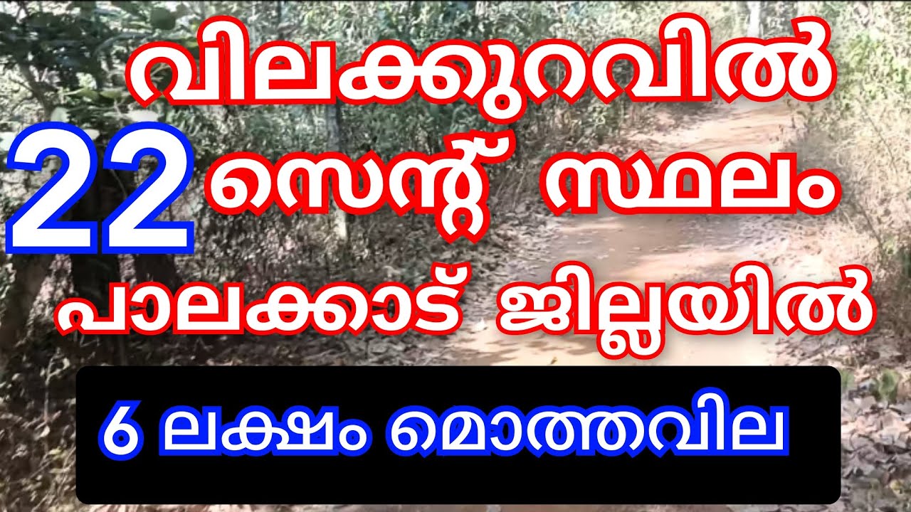 EP:556 |വെറും 6 ലക്ഷം മൊത്തവില 22 സെന്റ് സ്ഥലം അർജന്റ് വില്പന പാലക്കാട്‌ ജില്ലയിൽ👌#lowbudget