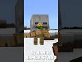 Strange Armor Stand [Minecraft]