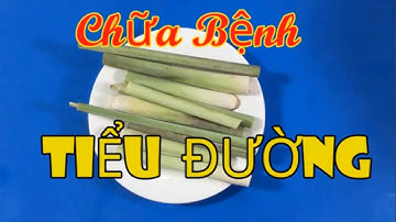 Bài thuốc nam chữa bệnh tiểu đường cực hiệu quả bằng củ sả [Sức khỏe]