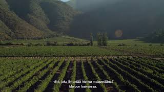 Gran Reserva Tarapacá: EL Gran Reserva de Chile (15' Terroir Subs Finnish)