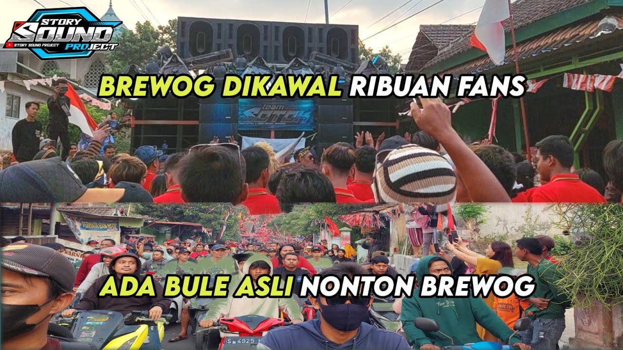 WOW ada Bule nonton Brewog Karnaval Mojokerto😱 | Brewog karnaval Mojokerto dikawal ribuan fansnya🤩