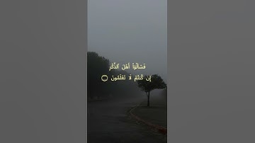 تلاوة جميله من سورة النحل || #ياسر_الدوسري #سورة_النحل #راحة_نفسية #قران_كريم