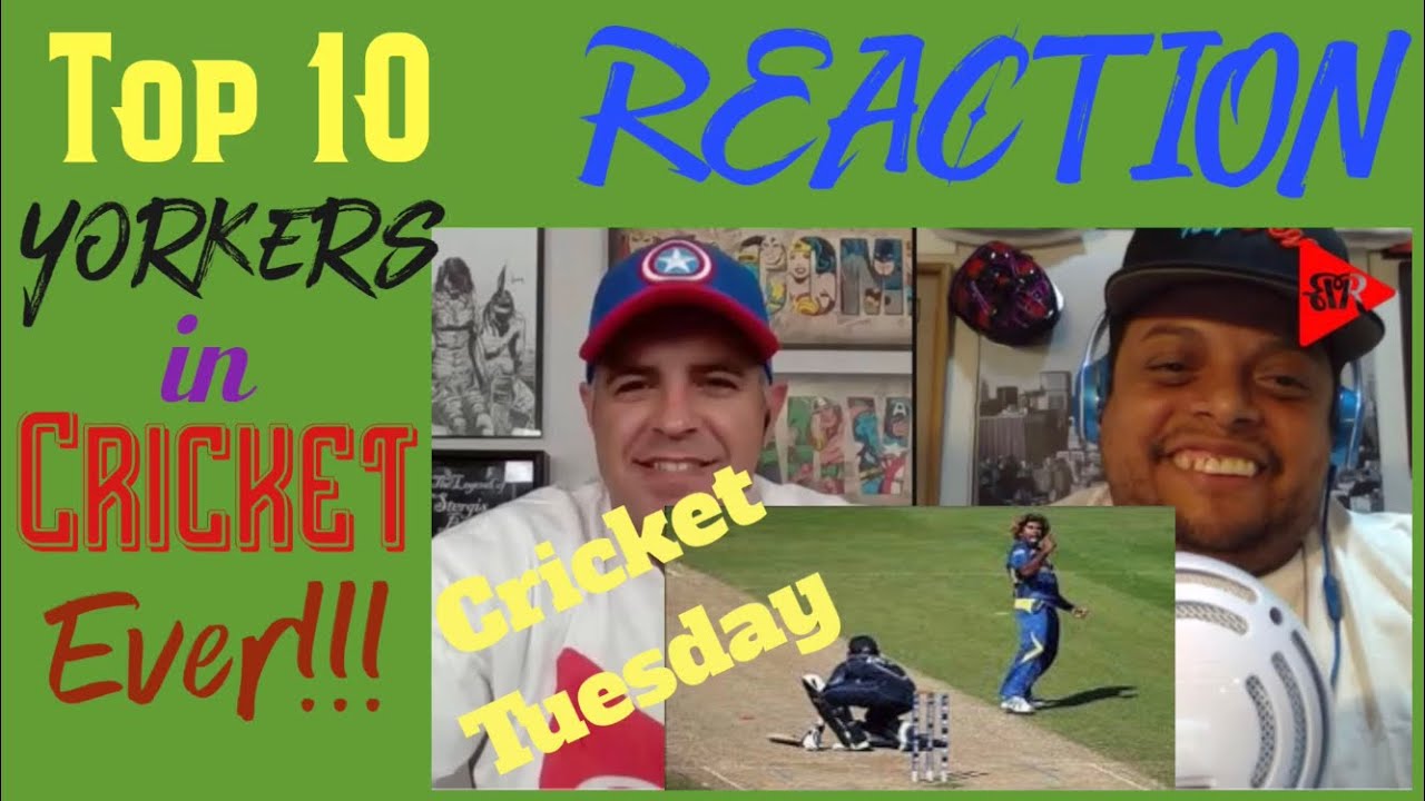 Top 10 Best Yorkers in Cricket Ever | Cricket Reaction | Cricket ...