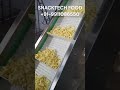 Kur Kure Processing Machine