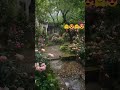 #song #plants #nature #subscribe #like #support