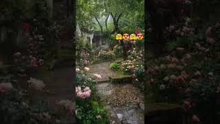 #song #plants #nature #subscribe #like #support