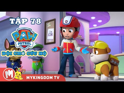 ĐỘI CHÓ CỨU HỘ PAW PATROL MINI | Tập 78 | Phim hoạt hình