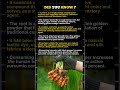 Golden Facts About Turmeric You Never Knew 💛 The Ancient Spice with Modern Science